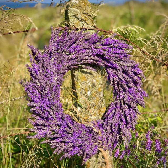 Lavender Fields Design in Preserved Moss Basket – LeLe Floral